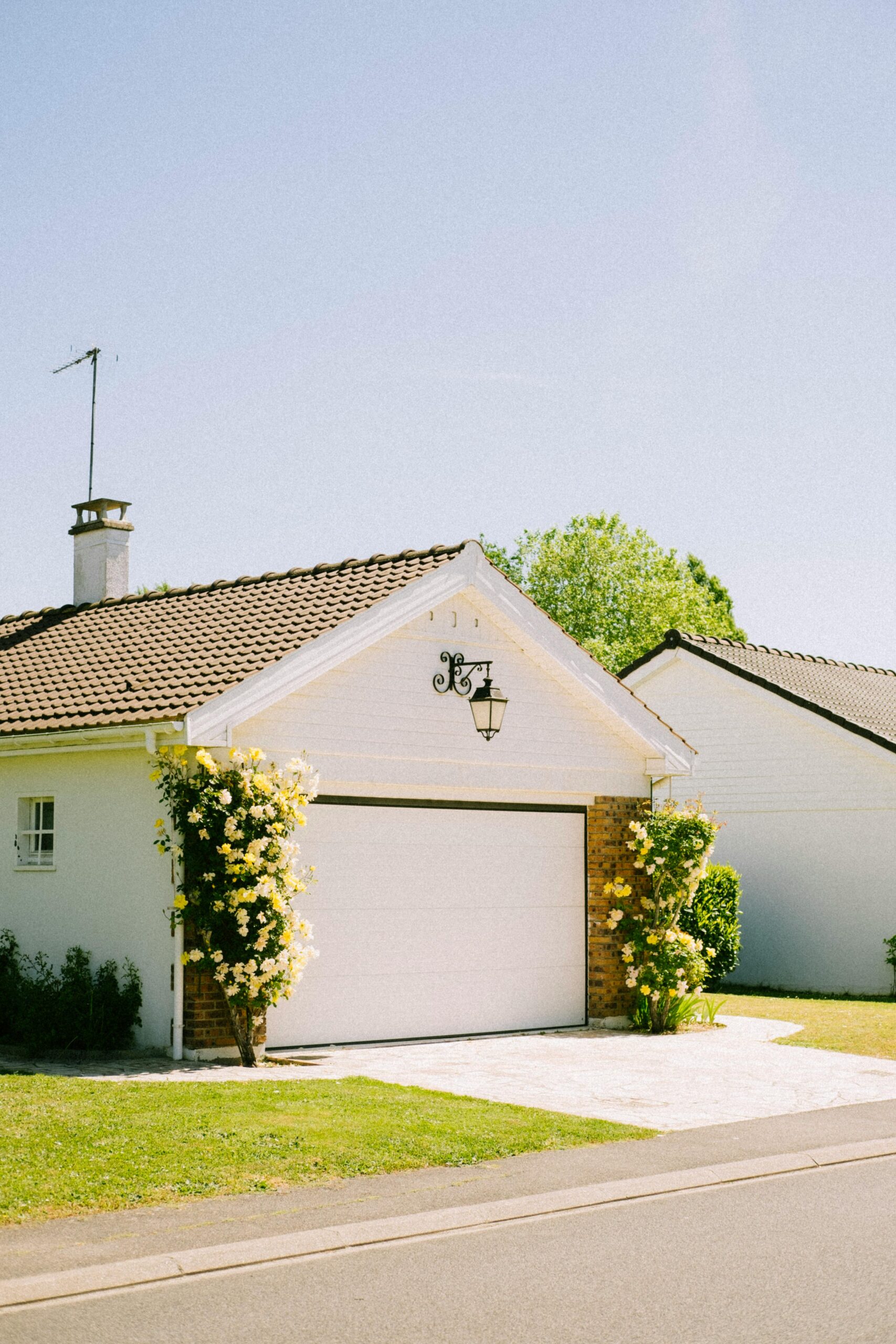 Beautiful suburban house with a garage surrounded by flowering plants in a sunny neighborhood.